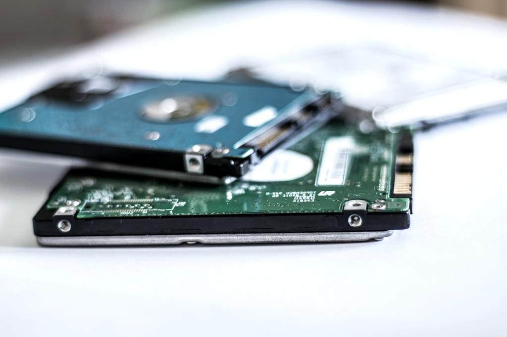 Lisa Ray, Content Manager